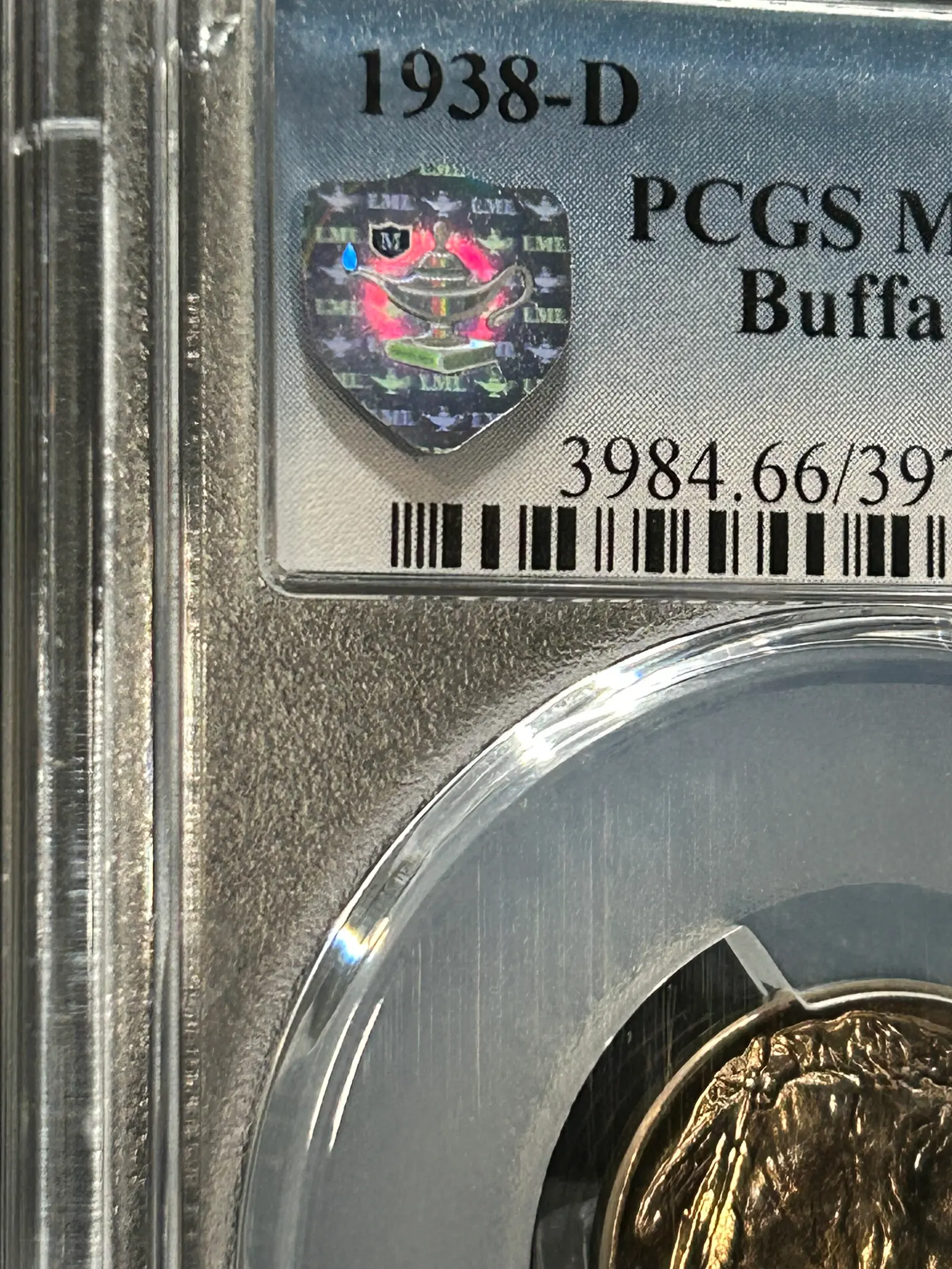 Silver Shield close-up