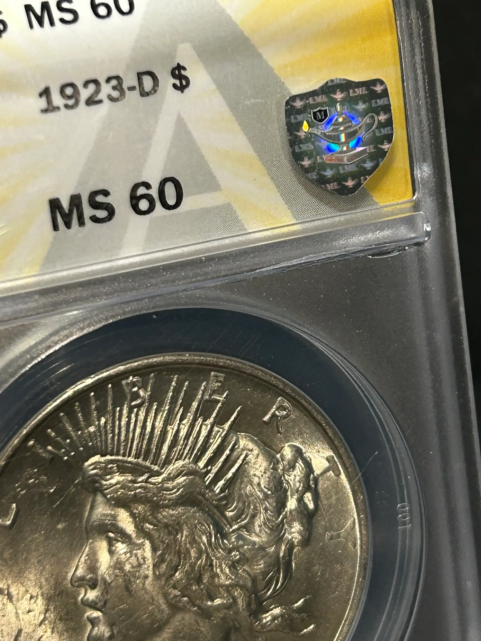 Silver Shield bust close-up