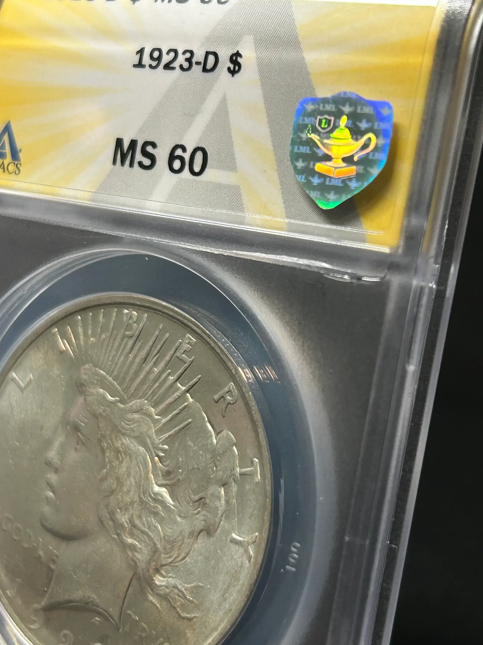 Silver Shield close-up under umbrella light